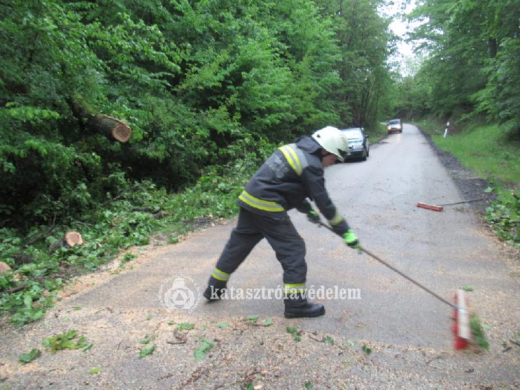 Kidőlt fák veszélyeztették a közlekedést Zalában, volt dolguk a tűzoltóknak