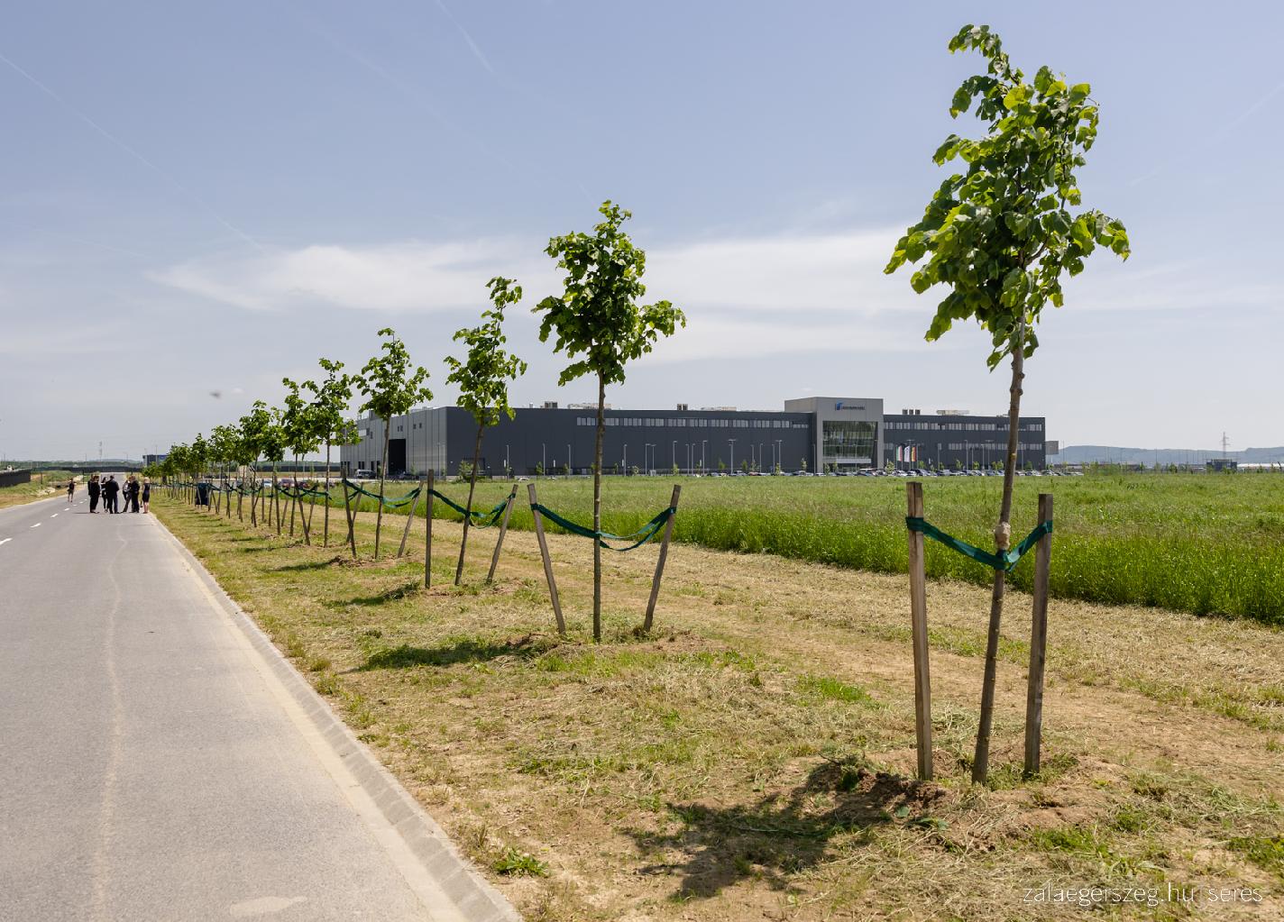 Negyven fa elültetését finanszírozta a Rheinmetall gyár Zalaegerszegen