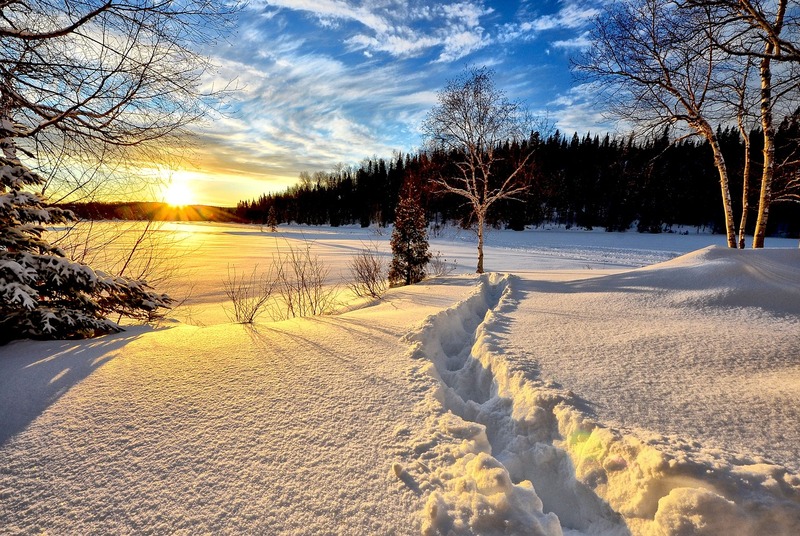 winter-landscape-g78f937550_1280.jpg
